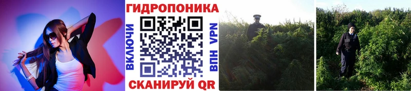 Купить ГАШ Бошки Шишки Alpha PVP МЕФ Тосно