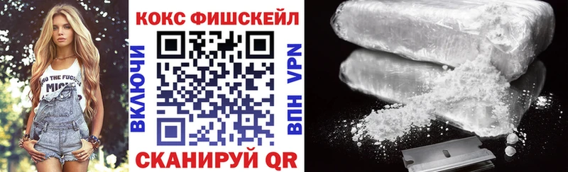Купить закладки  Тосно  Cocaine Колумбийский 