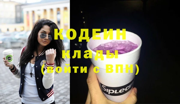 метадон Ельня