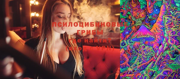метадон Ельня