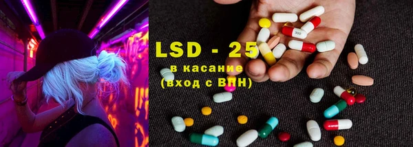 ешки Елабуга