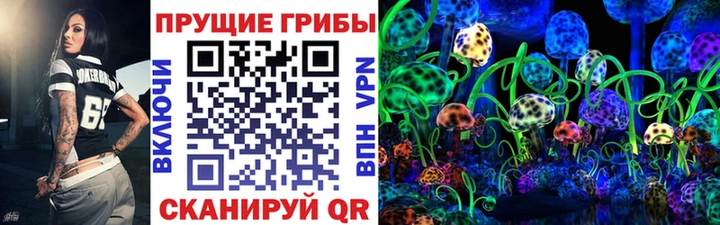 Купить  Тосно  Галлюциногенные грибы Magic Shrooms 